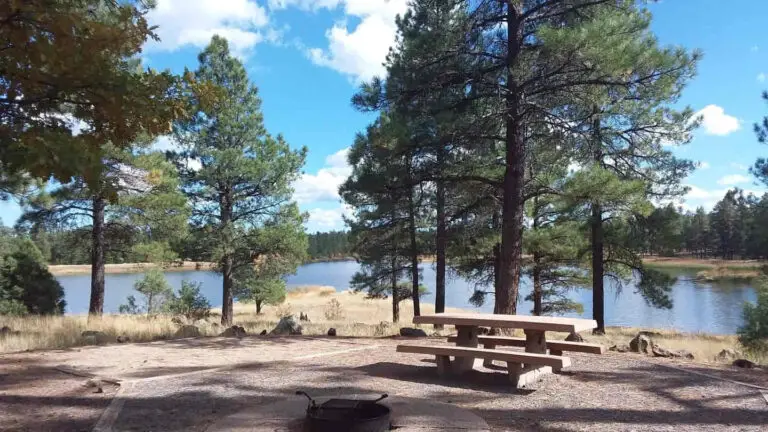 Fishing And Camping In One: The White Horse Lake Campground