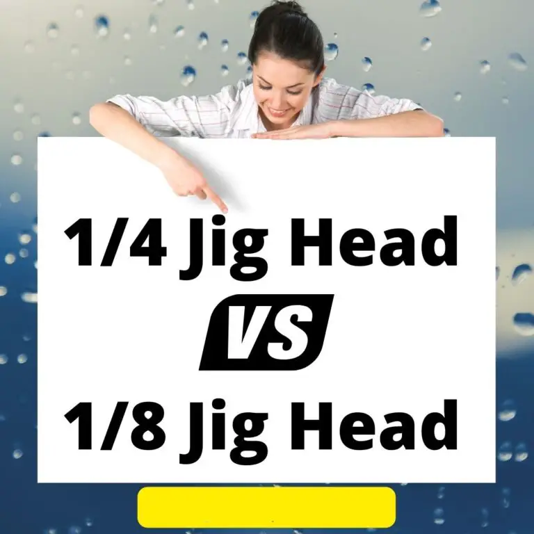 1/8 vs 1/4 Jig Head: the Right Jig Head Weight!