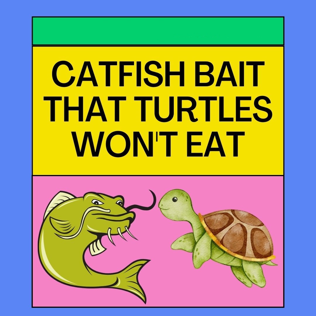 Catfish Bait That Turtles Won't Eat