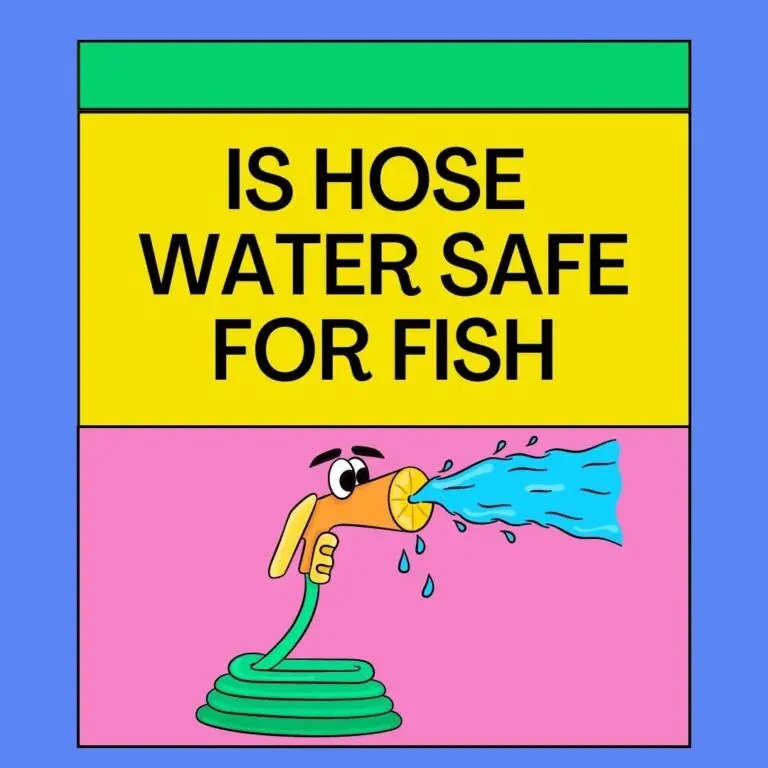 Is Hose Water Safe for Fish? [With All Necessary Details]
