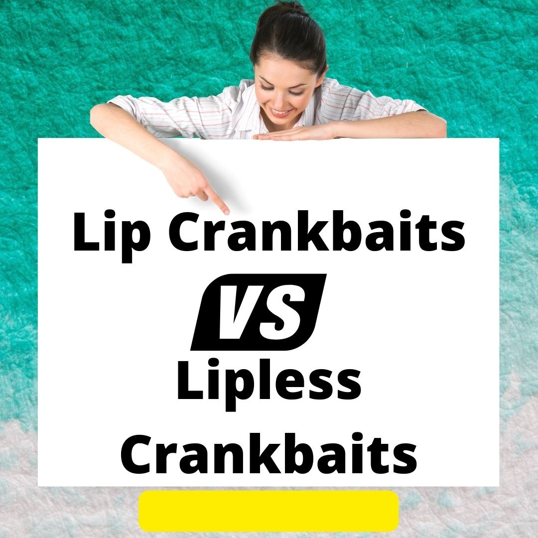 Lip vs Lipless Crankbaits