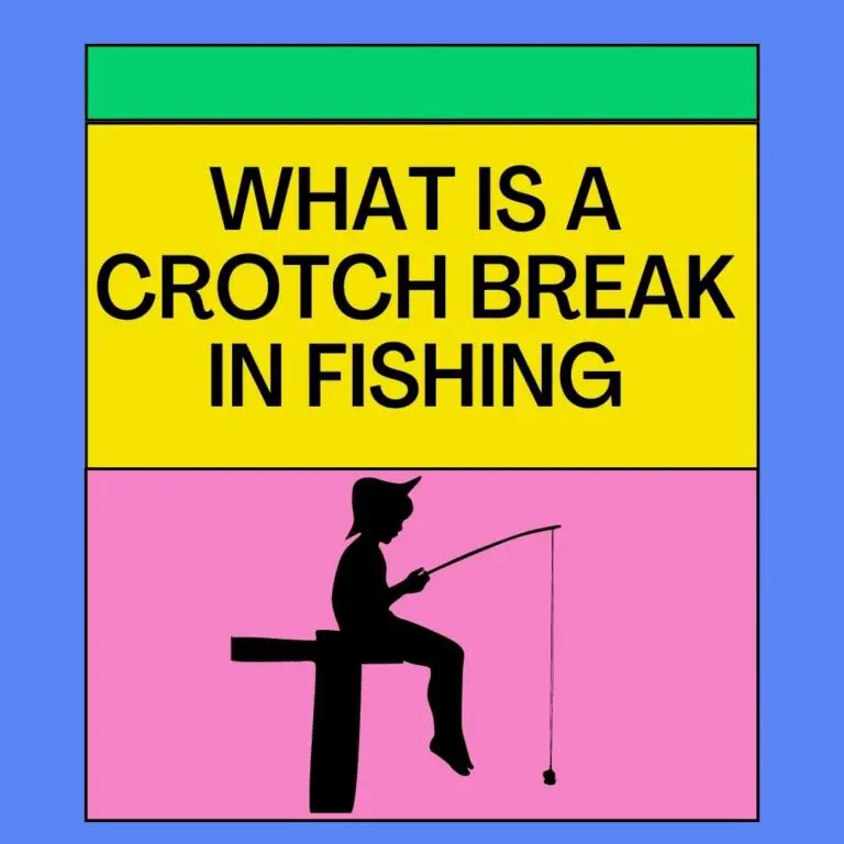 What Is a Crotch Breaking in Fishing? (101 Guide)