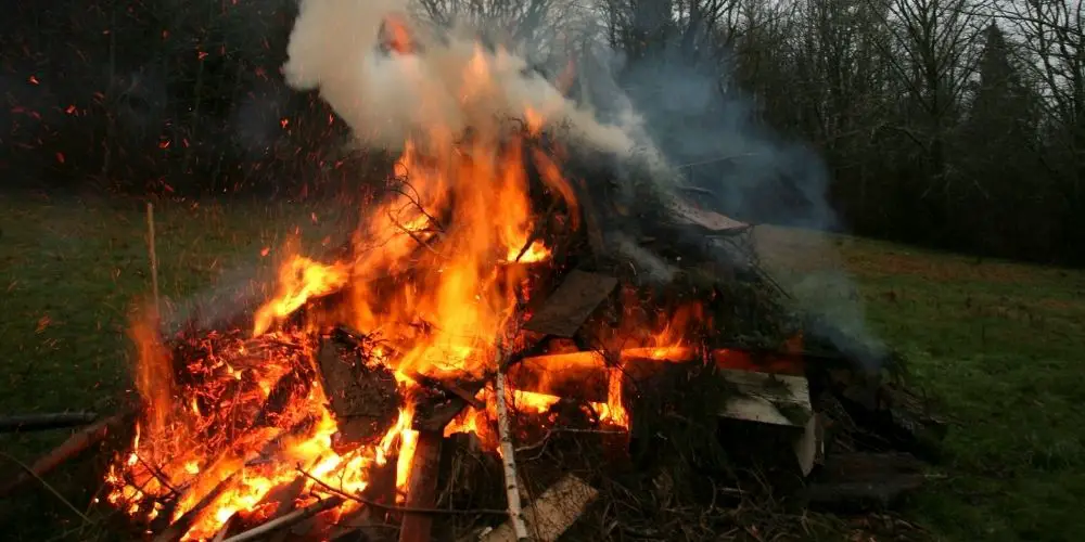 How to Burn A Wet Brush Pile