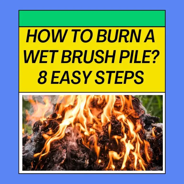 How To Burn A Wet Brush Pile? 8 Easy Steps