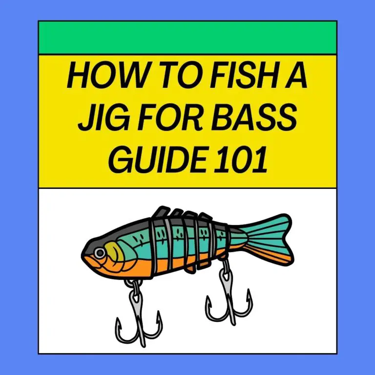 How To Fish A Jig For Bass? Jig Fishing Guide 101