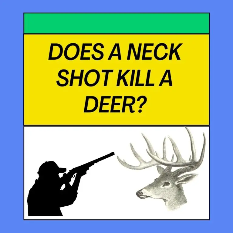 Does A Neck Shot Kill A Deer? Deer Shot Placement