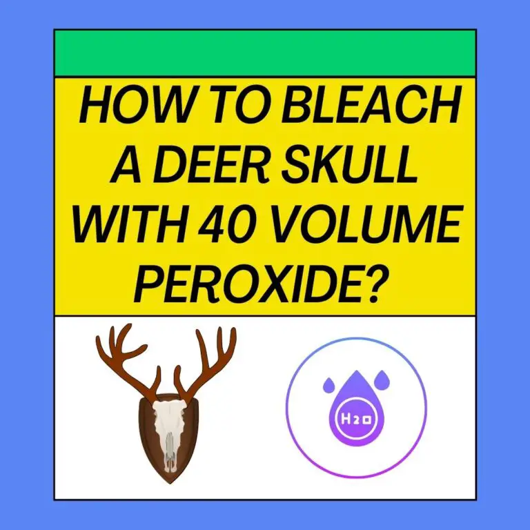 How To Bleach A Deer Skull With 40 Volume  Peroxide?
