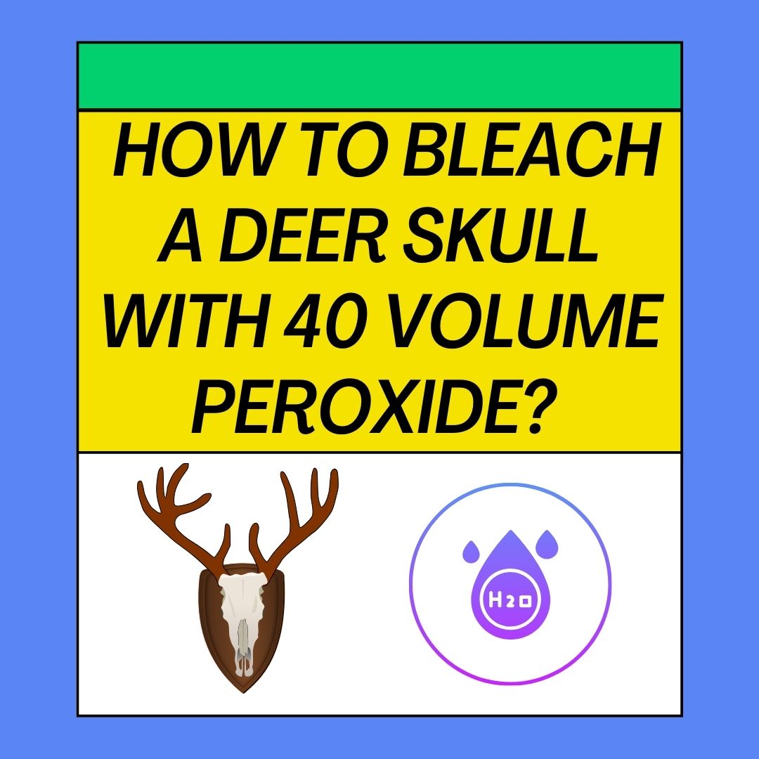 How To Bleach A Deer Skull With 40 Volume Peroxide