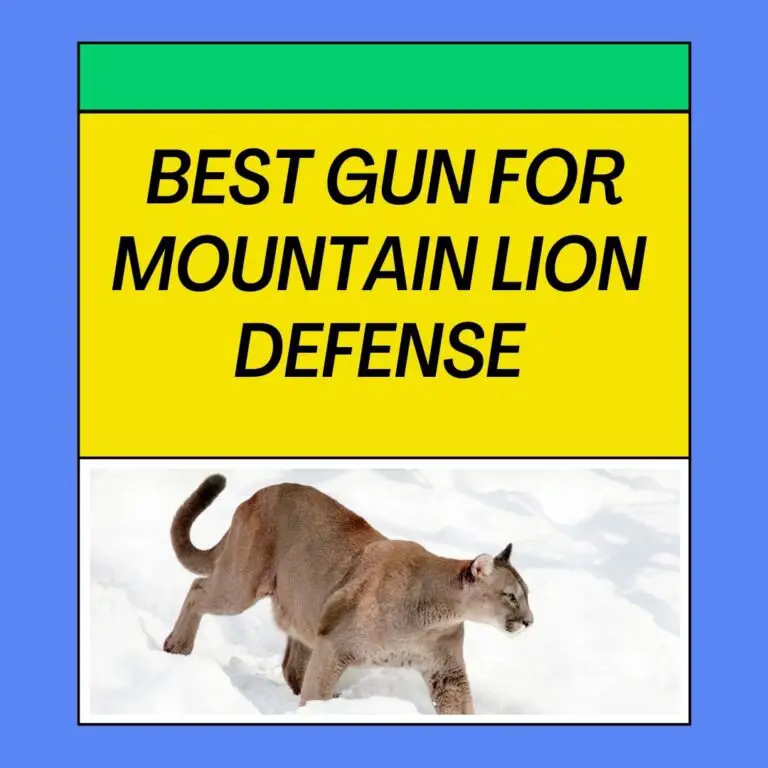 Choosing the Best Gun for Mountain Lion Defense