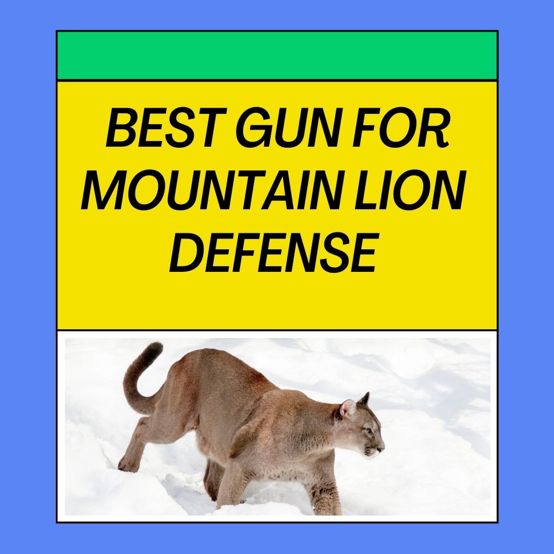 Choosing the Best Gun for Mountain Lion Defense