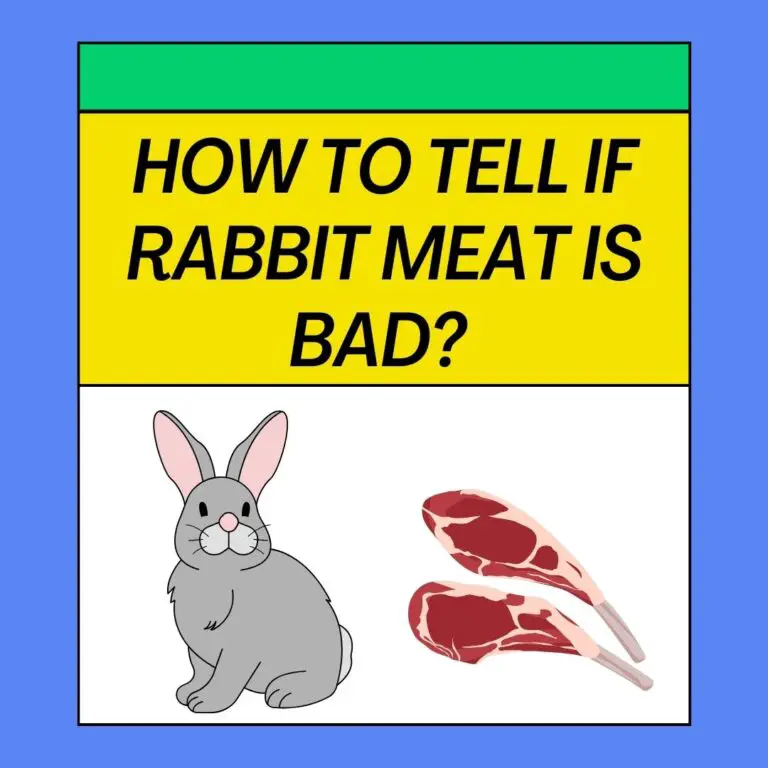 How To Tell If Rabbit Meat Is Bad? 8 Easy Ways