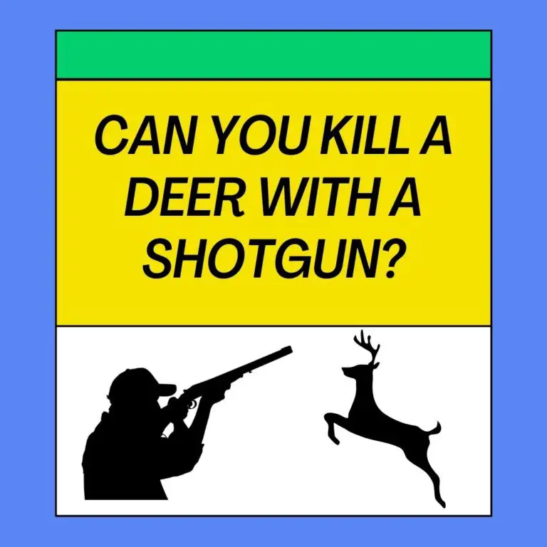 Can You Kill A Deer With A Shotgun?