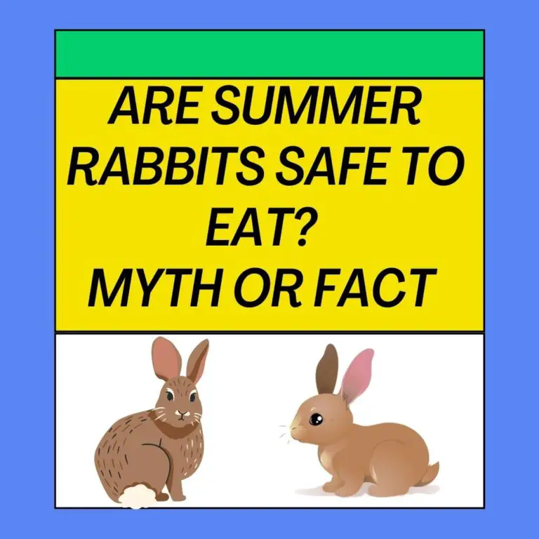 Are Summer Rabbits Safe to Eat? Myth or Fact