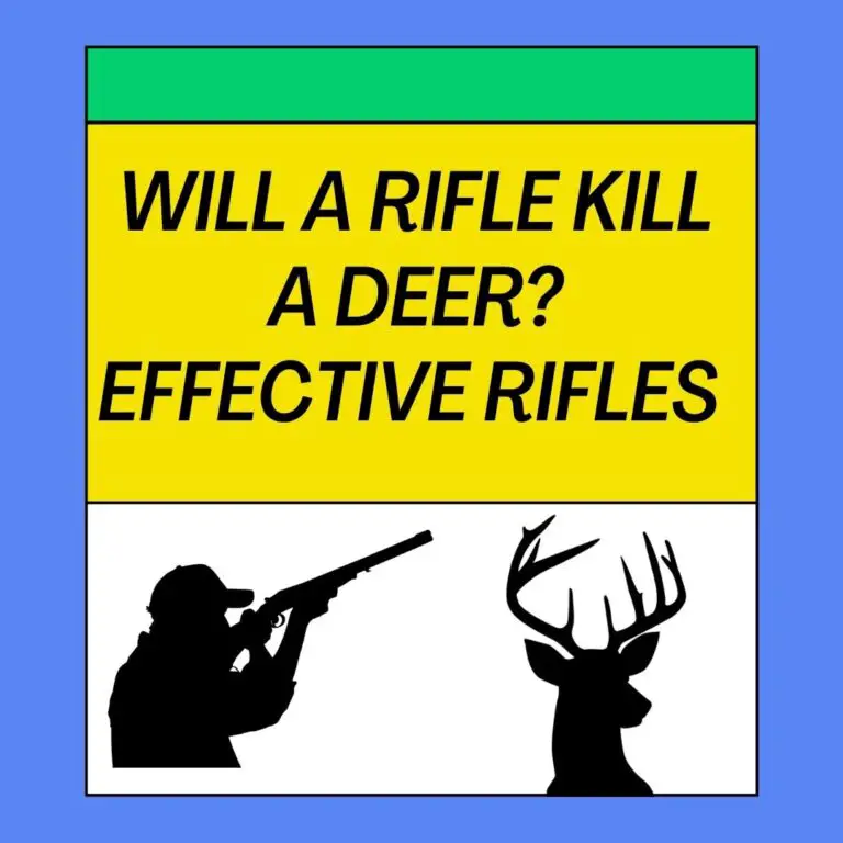 Will A Rifle Kill A Deer? 8 Effective Rifles for Deer Hunting
