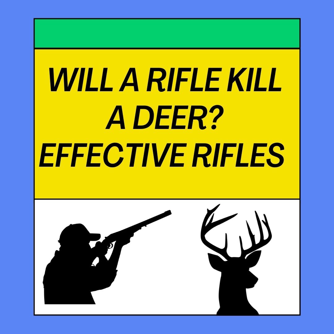 Will A Rifle Kill A Deer