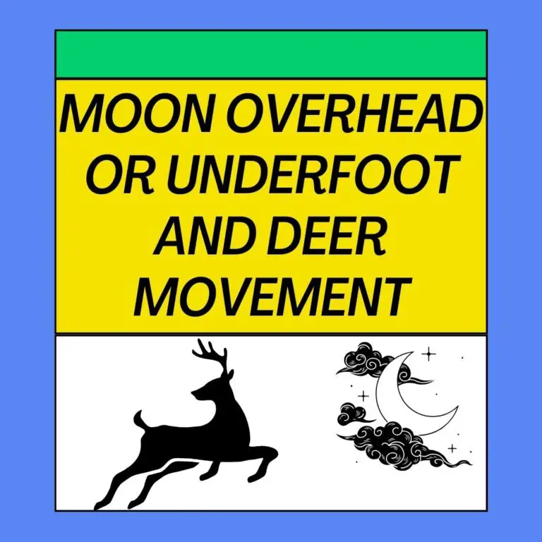 Moon Overhead Or Underfoot And Deer Movement Logic