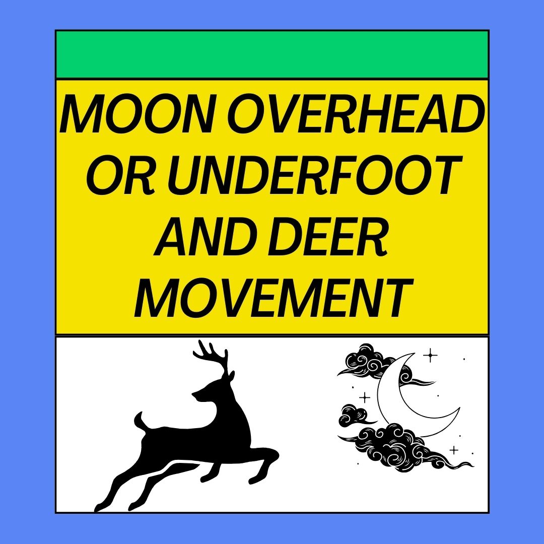 Moon Overhead Or Underfoot And Deer Movement