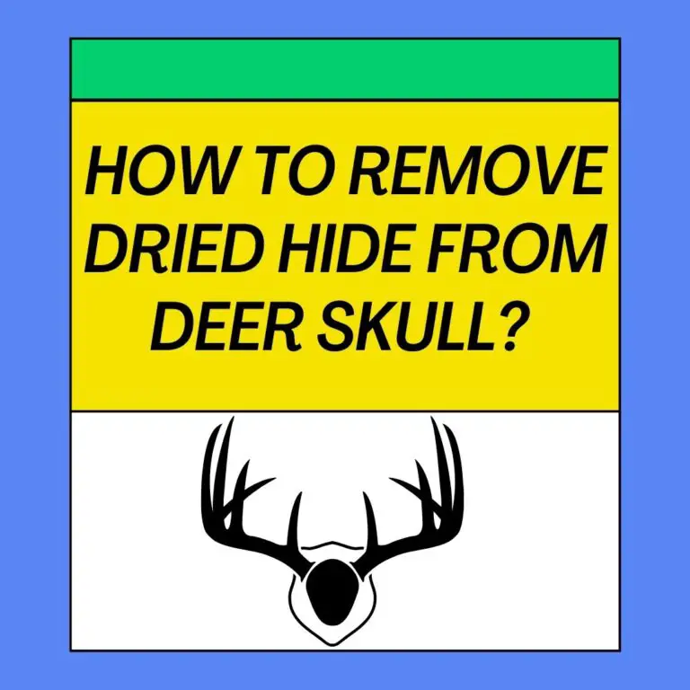 How To Remove Dried Hide From Deer Skull?