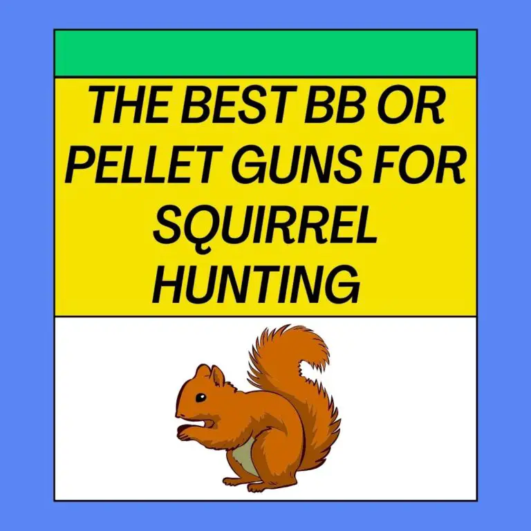 The Best BB or Pellet Guns for Squirrel Hunting