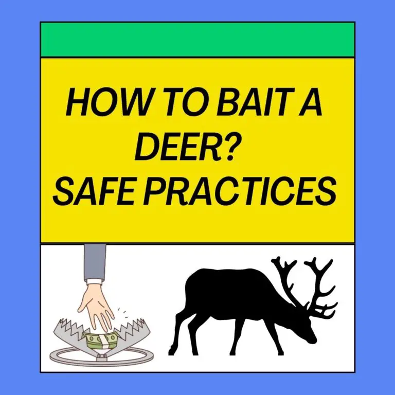How to Bait a Deer? Understanding Deer Baiting