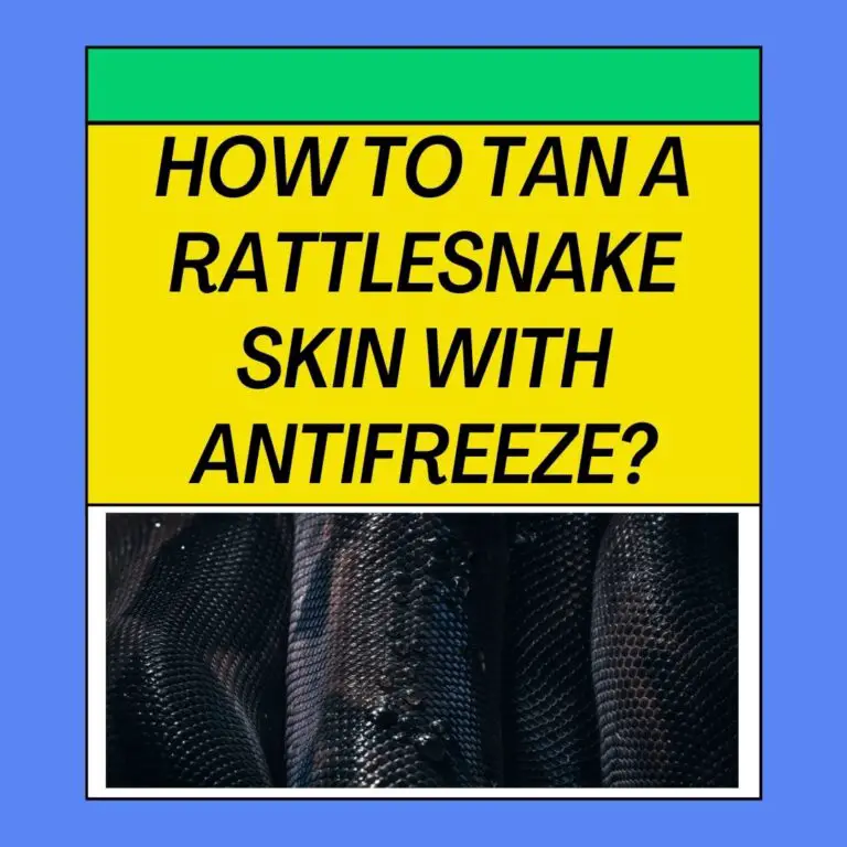 How To Tan A Rattlesnake Skin With Antifreeze?