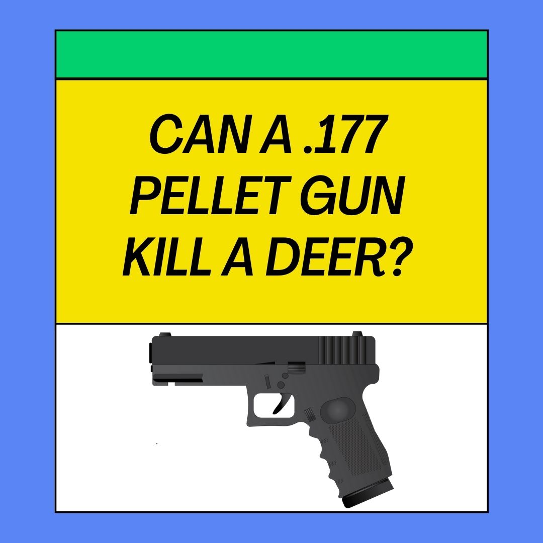 Can a .177 Pellet Gun Kill a Deer